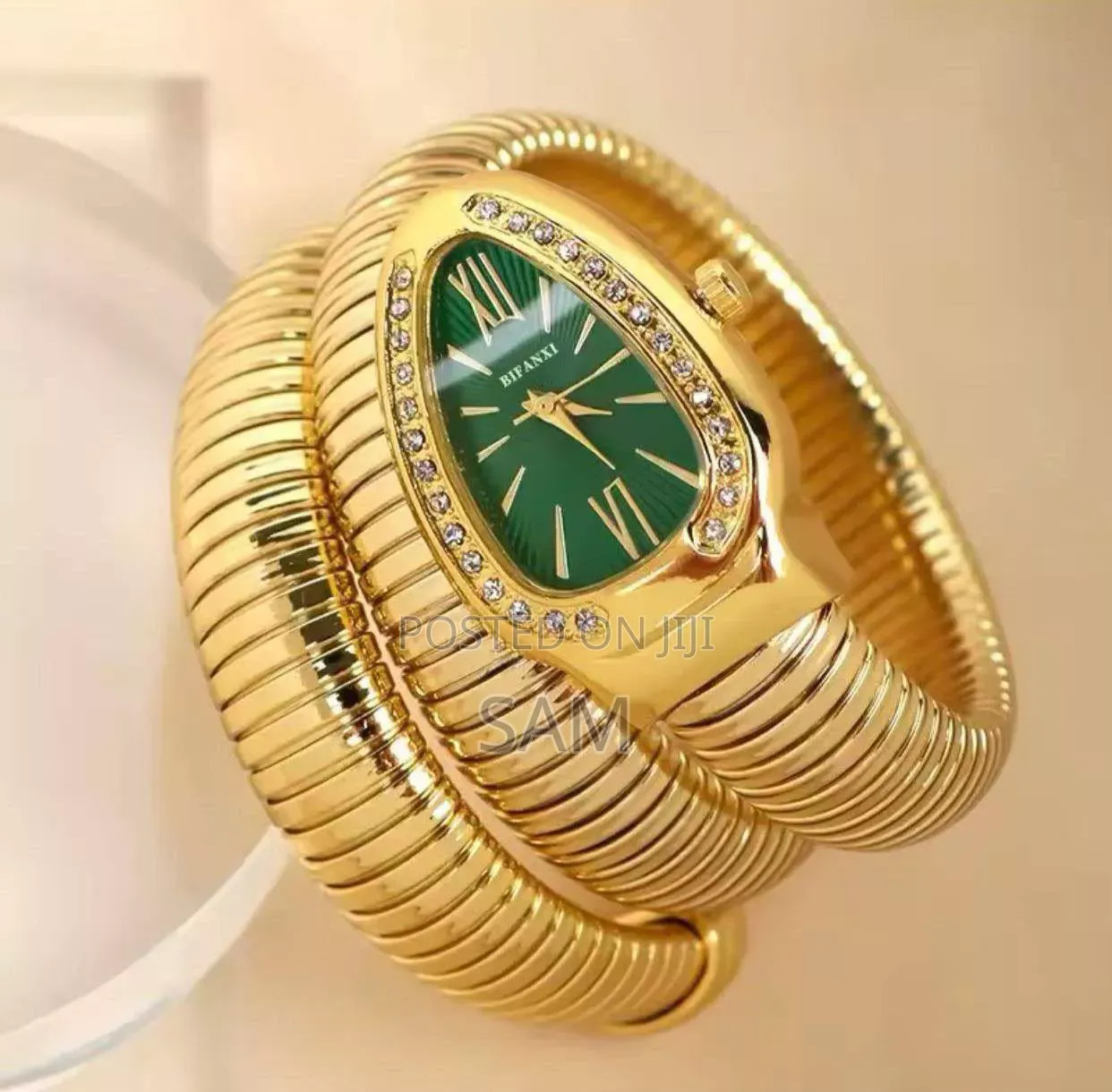ladies Spiral Watch