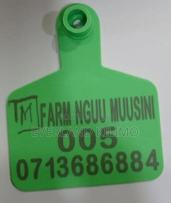 Medium Customized Green Ear Tags for Cows