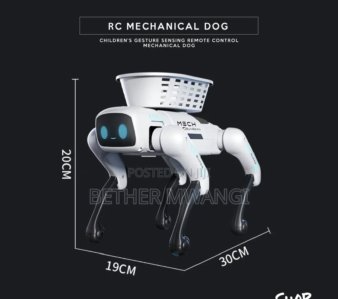 Children's Gesture Sensing Remote Control Mechanical Dog in Kenya