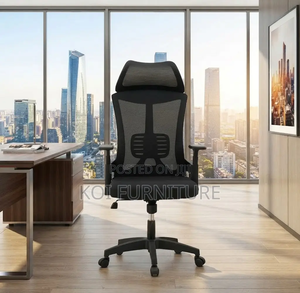 Office Chairs; Executive Ergonomic Lama Office Chair