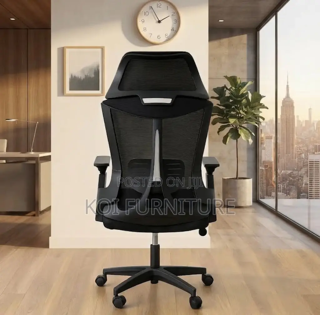 Office Chairs; Executive Ergonomic Lama Office Chair