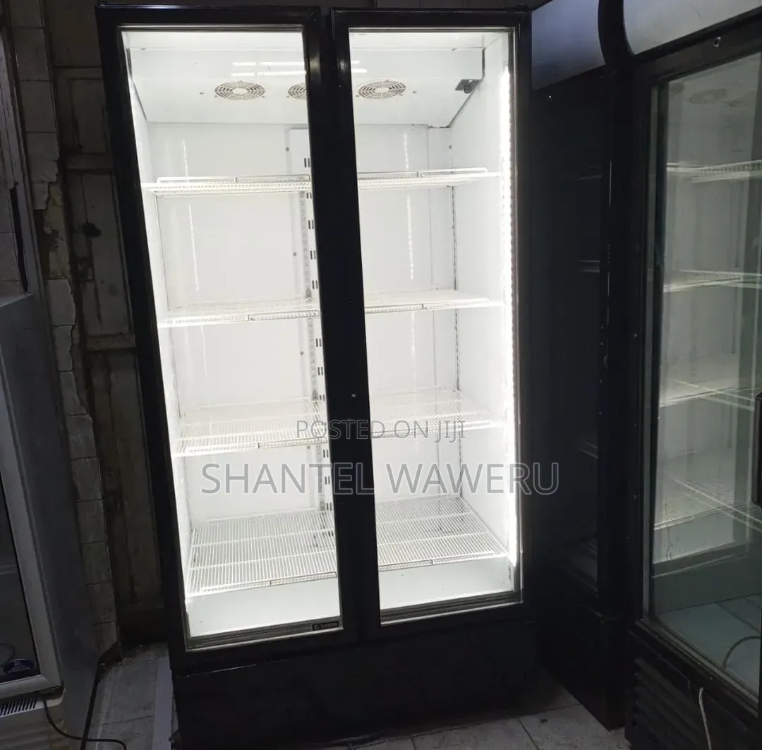 2 Door Chiller _ Glass Door