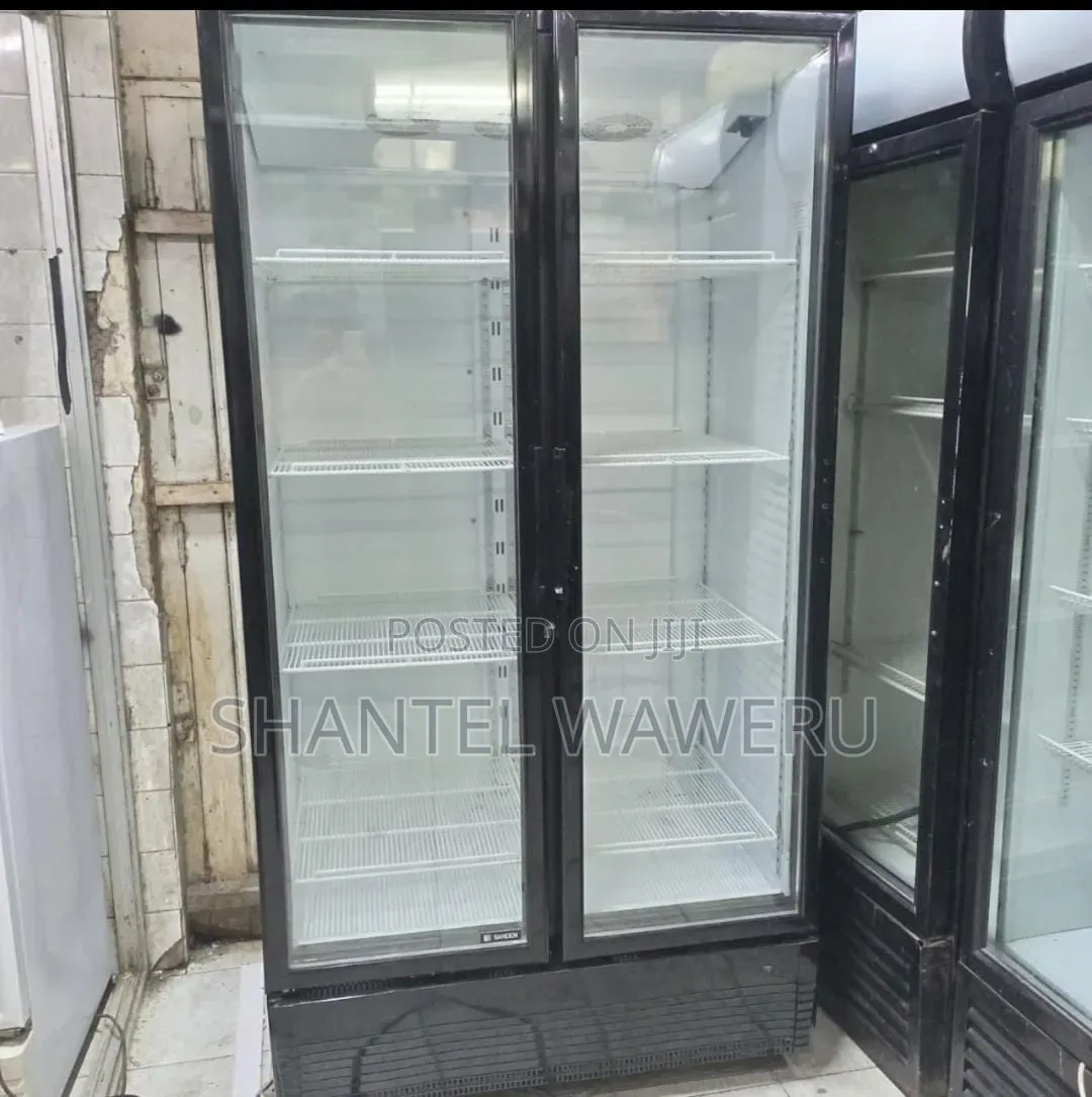 2 Door Chiller _ Glass Door