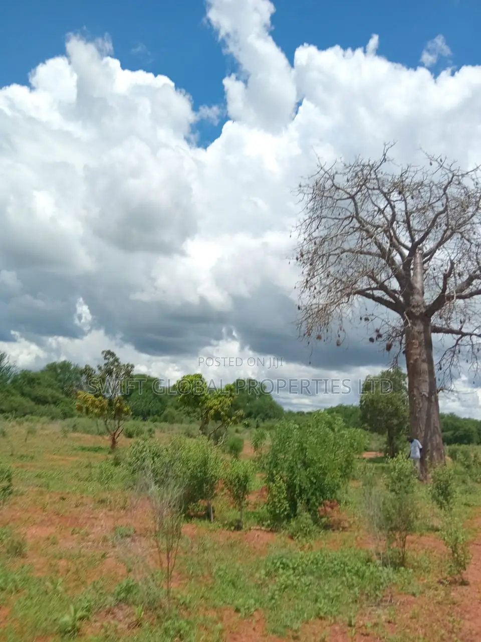 Over 250 Acres With Water in Makueni Is Available for Lease