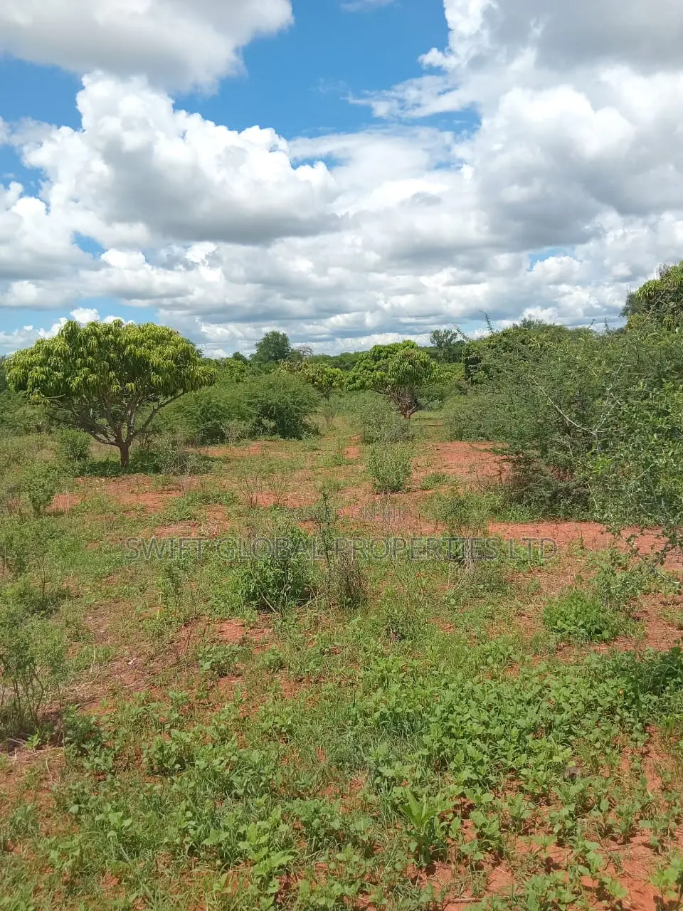 Over 250 Acres With Water in Makueni Is Available for Lease