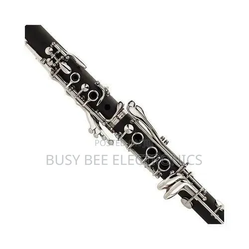 Premier Professional Clarinet