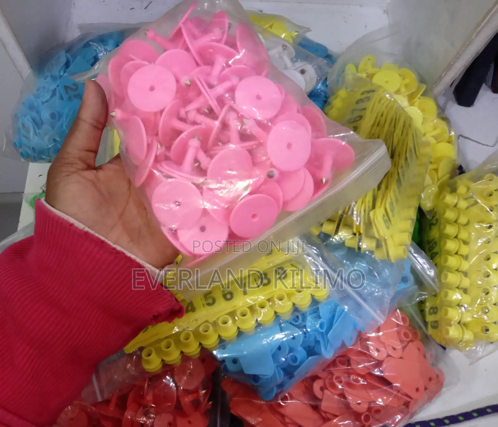 Plain Pin Tags With Pink Pins for Goats - Short and Slim Tags