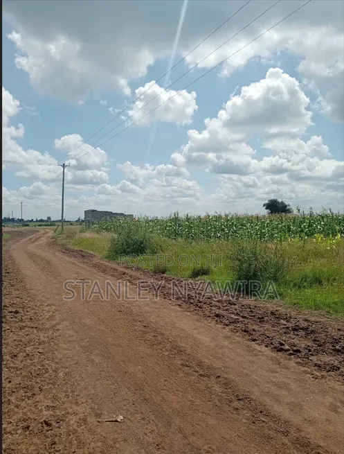 8 Acreas Nanyuki Daiga Muramati Next Tufaha Resort