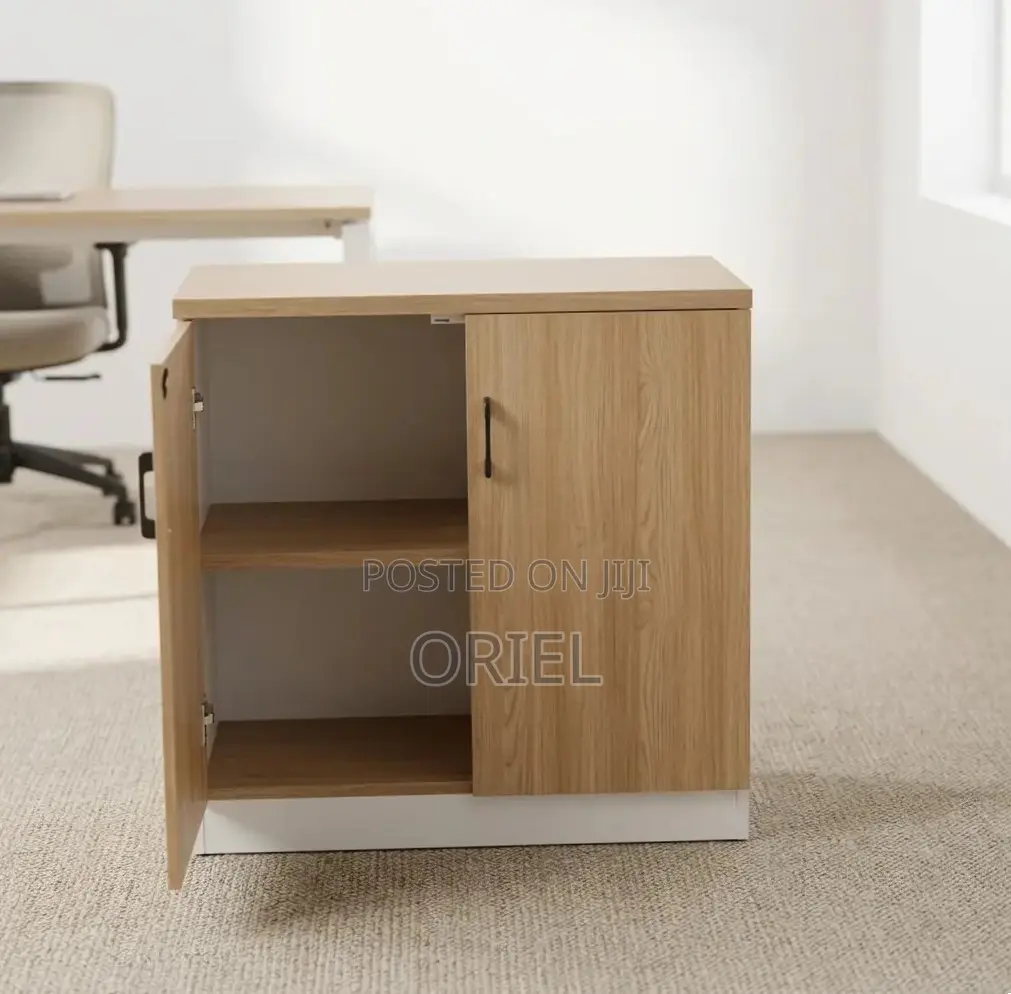 Office Credenza : 2-Door Wooden Cabinet Credenza