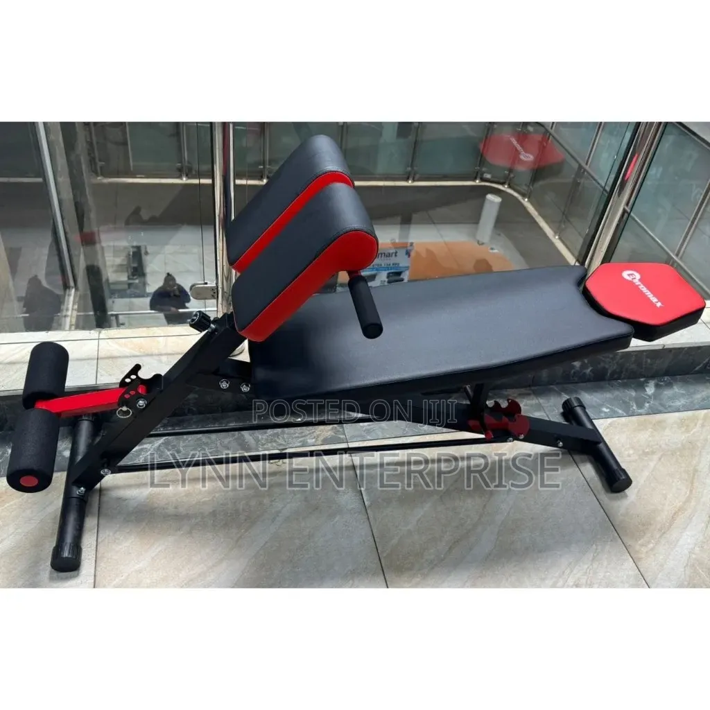 Modern Executive Gym Bench With Bench Press, Bicep Carl And