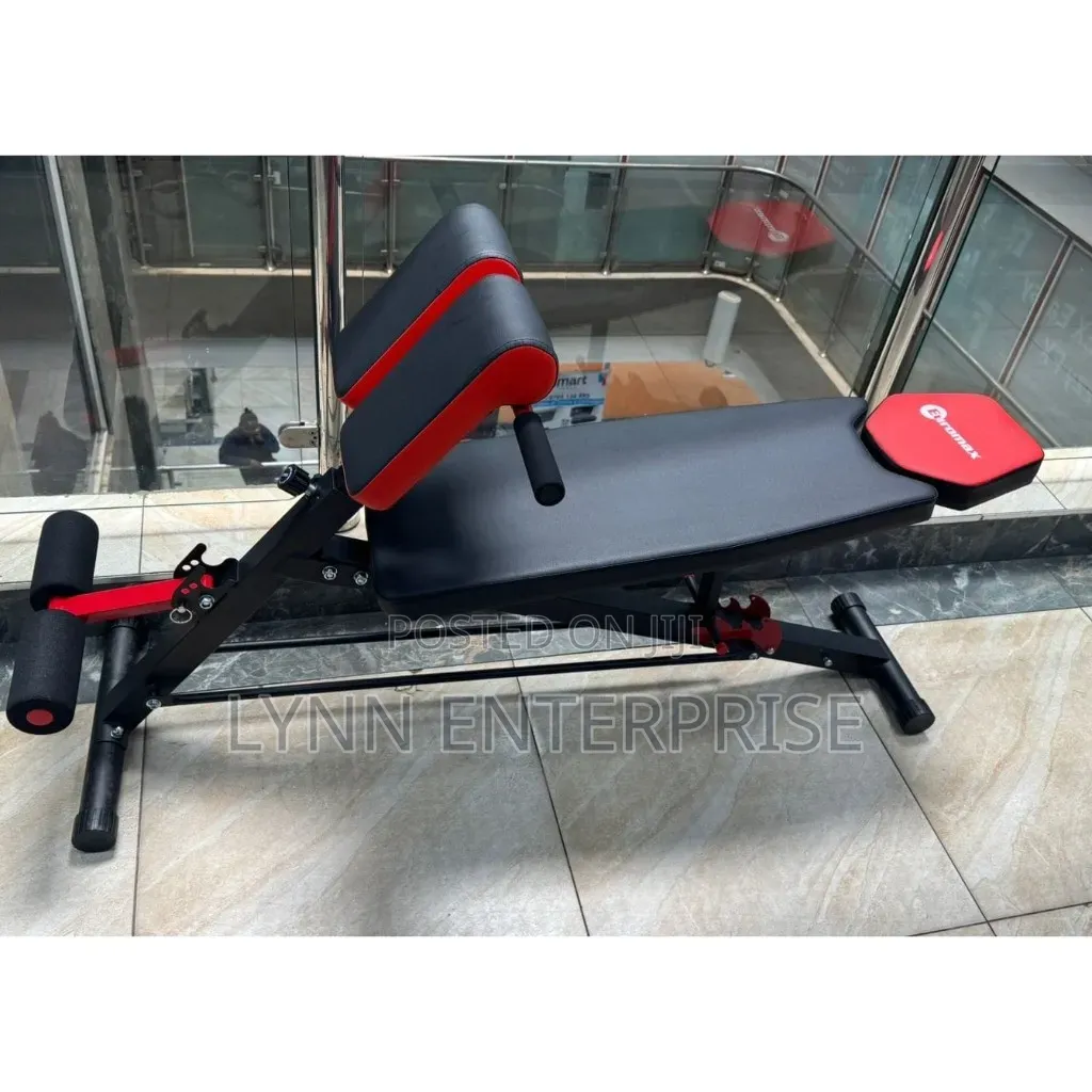 Modern Executive Gym Bench With Bench Press, Bicep Carl And
