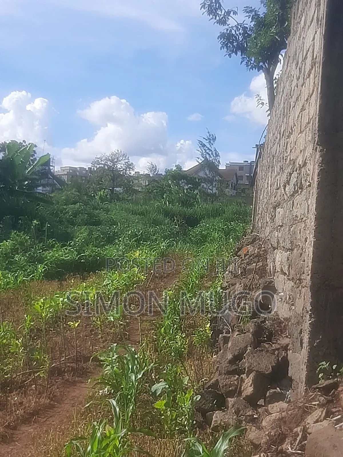 Ruiru Kiambu Road Prime Well Drained Red Soil 42 Acre Kiu Kenda