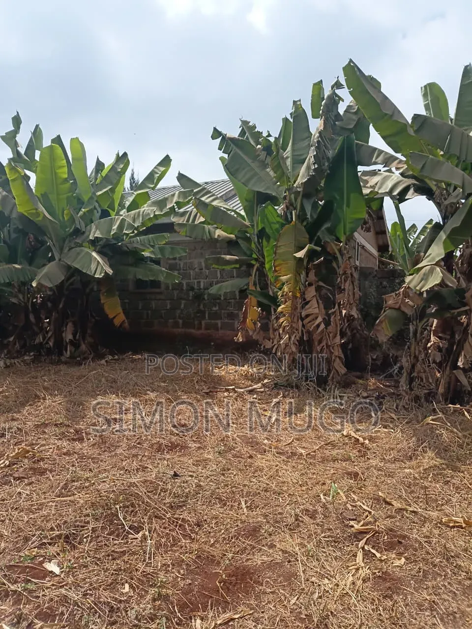 Ruiru Kiambu Road Prime Well Drained Red Soil 42 Acre Kiu Kenda