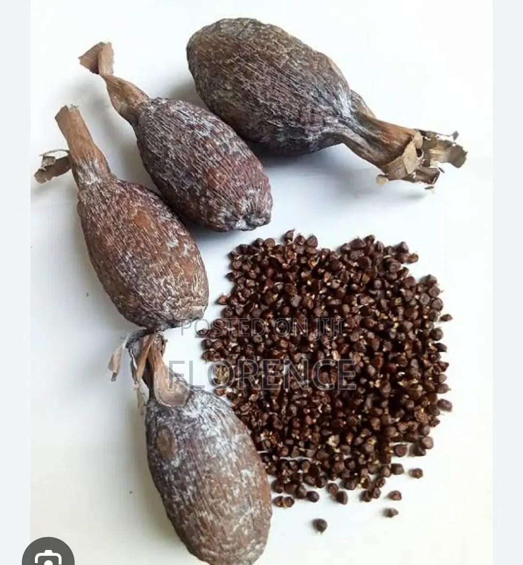 Alligator Pepper