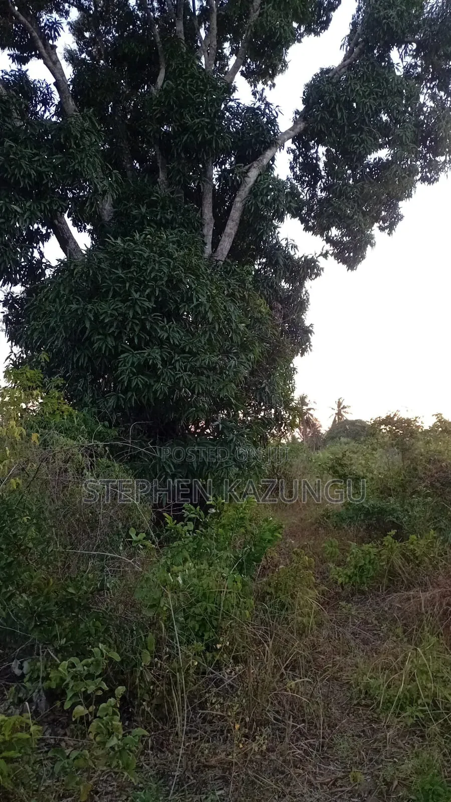 1 Acre Plot at Mwabungo Near Town at 1 Km From Lungalunga Highway