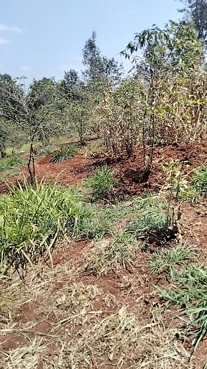 2 Acres Land on Sale at Gatundu South -Kiamwangi.