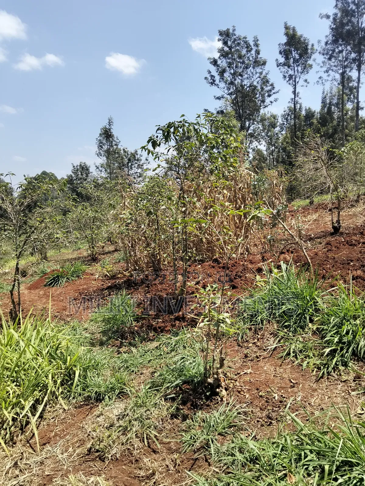 2 Acres Land on Sale at Gatundu South -Kiamwangi.