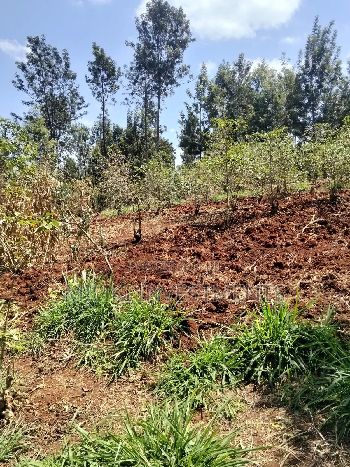 2 Acres Land on Sale at Gatundu South -Kiamwangi.
