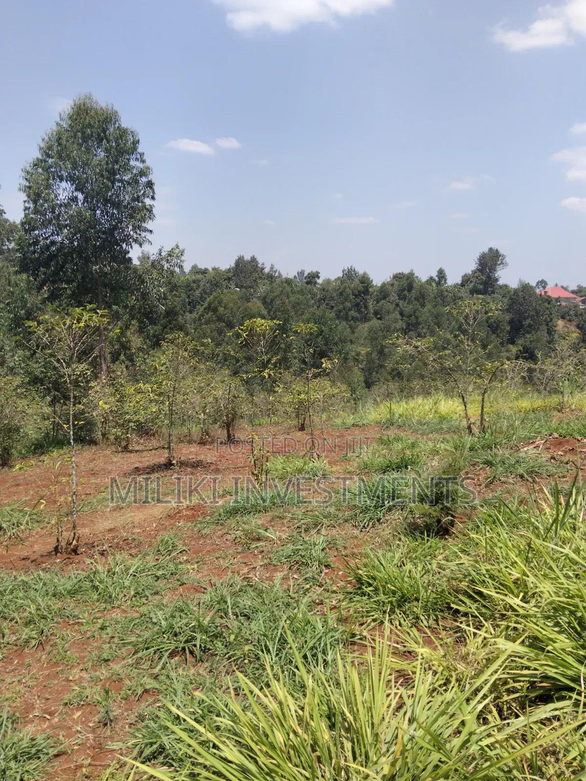2 Acres Land on Sale at Gatundu South -Kiamwangi.