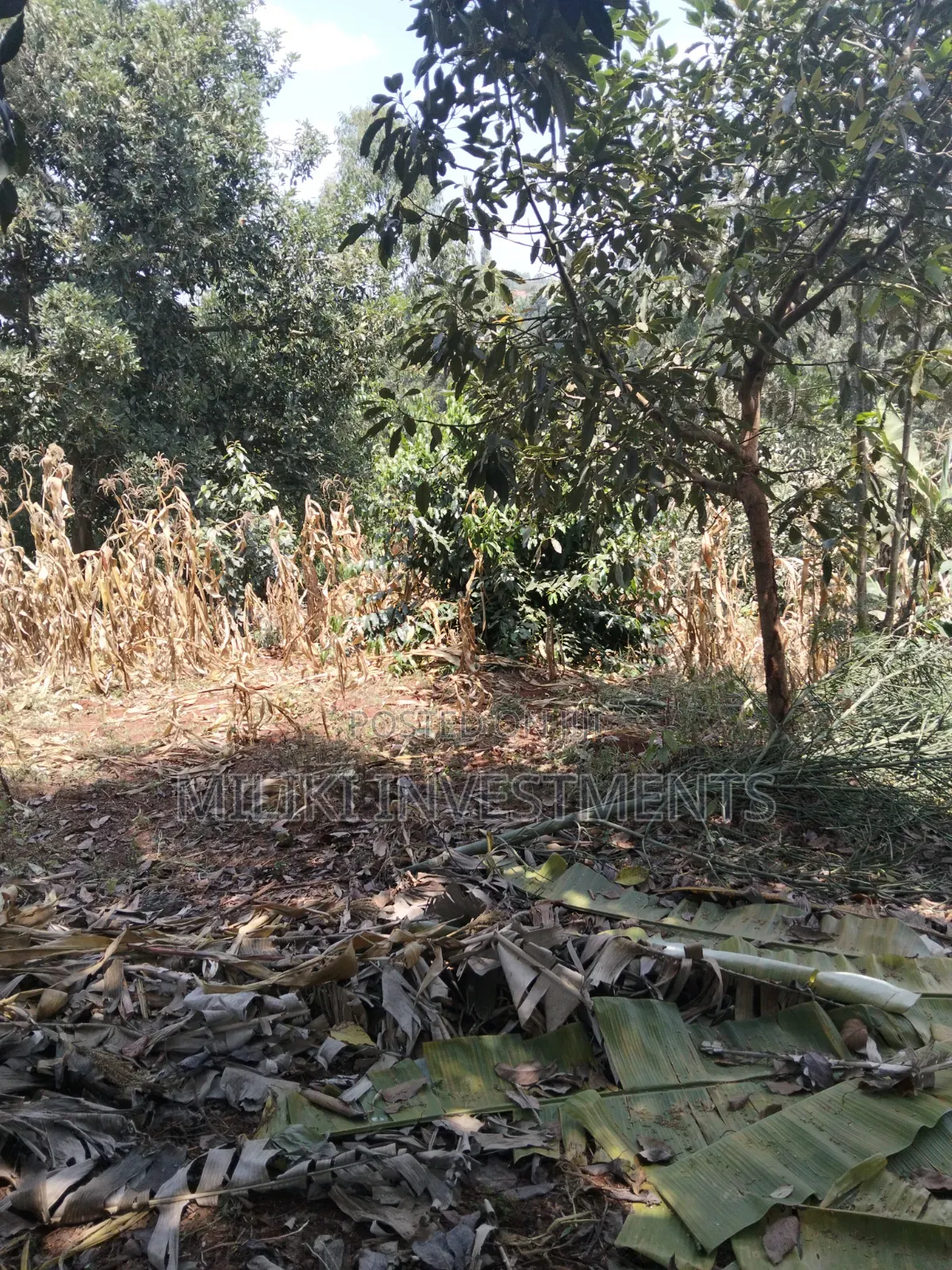 1 Acre Land Touching Tarmac on Sale at Kiamwangi