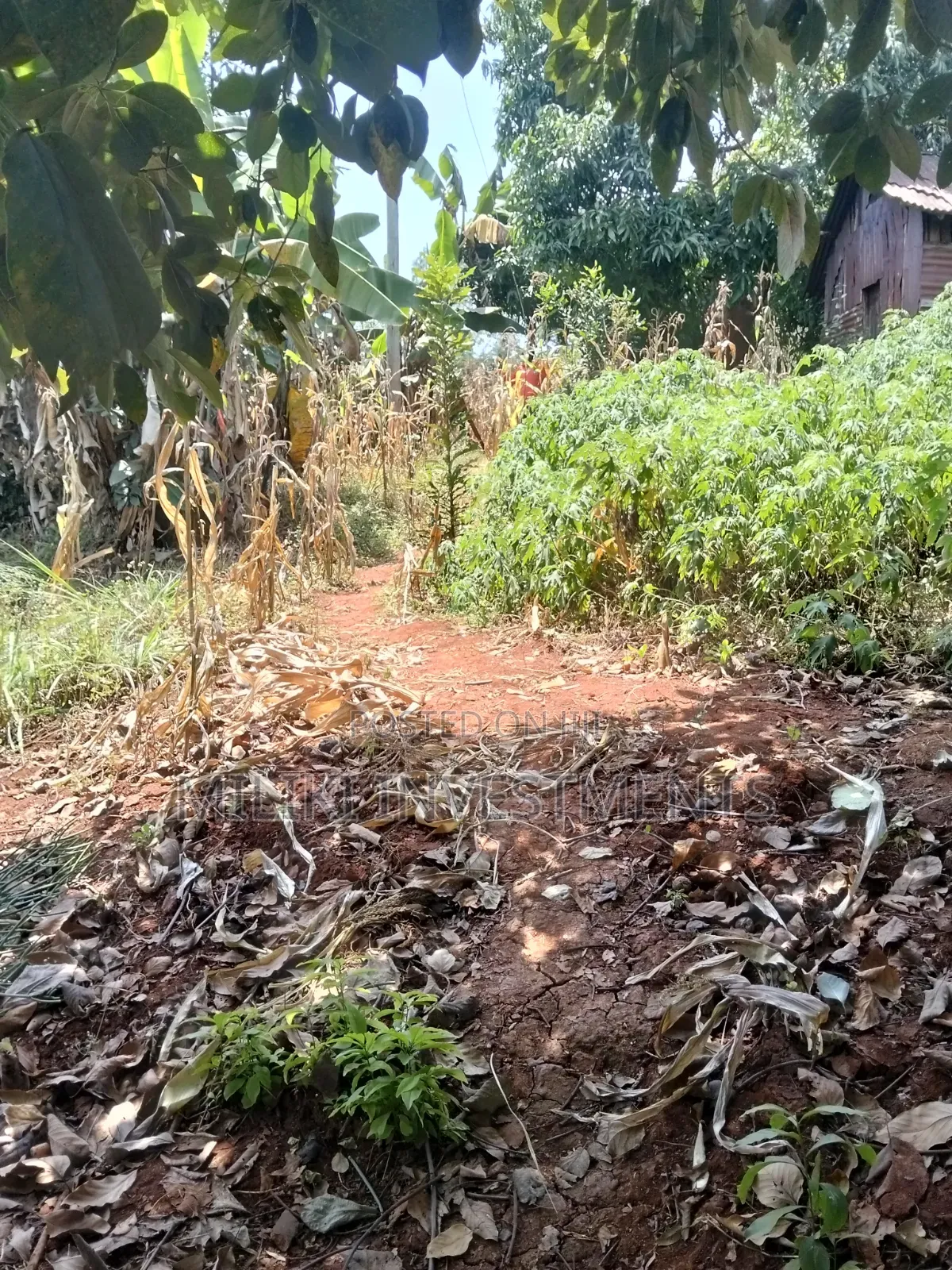 1 Acre Land Touching Tarmac on Sale at Kiamwangi
