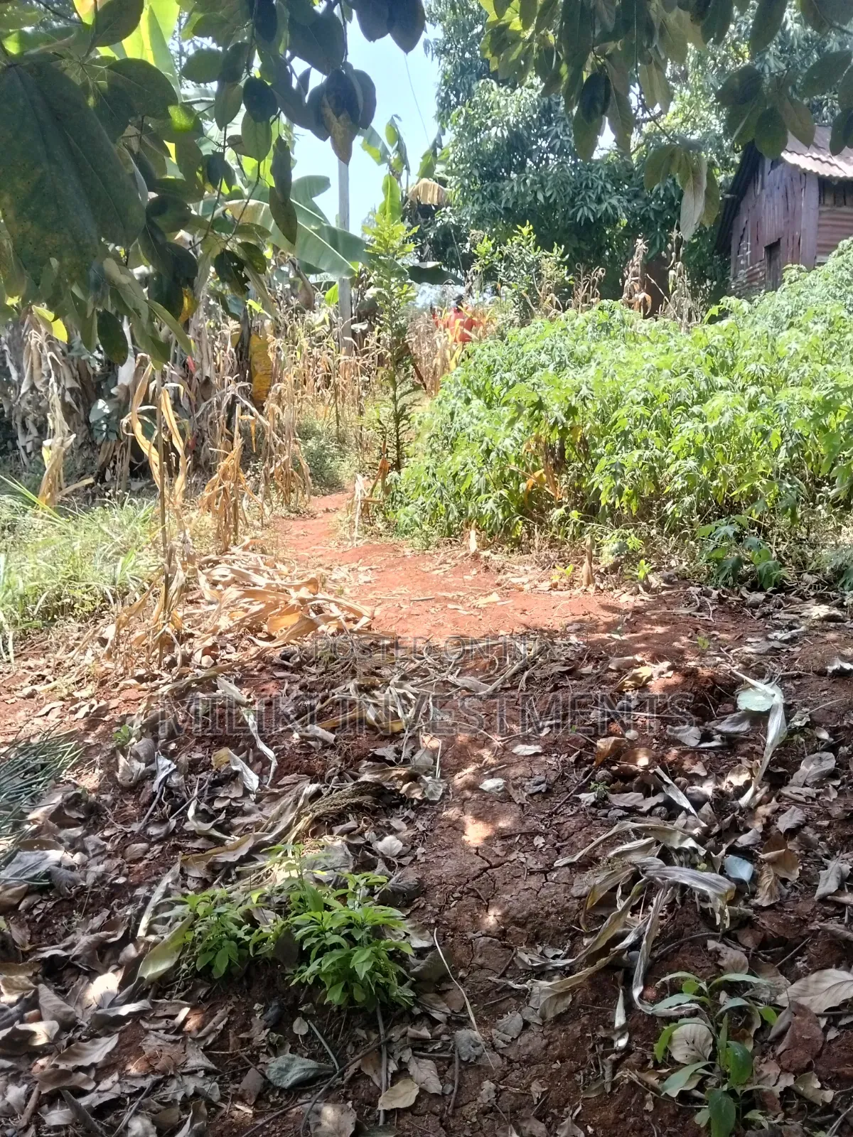 1 Acre Land Touching Tarmac on Sale at Kiamwangi