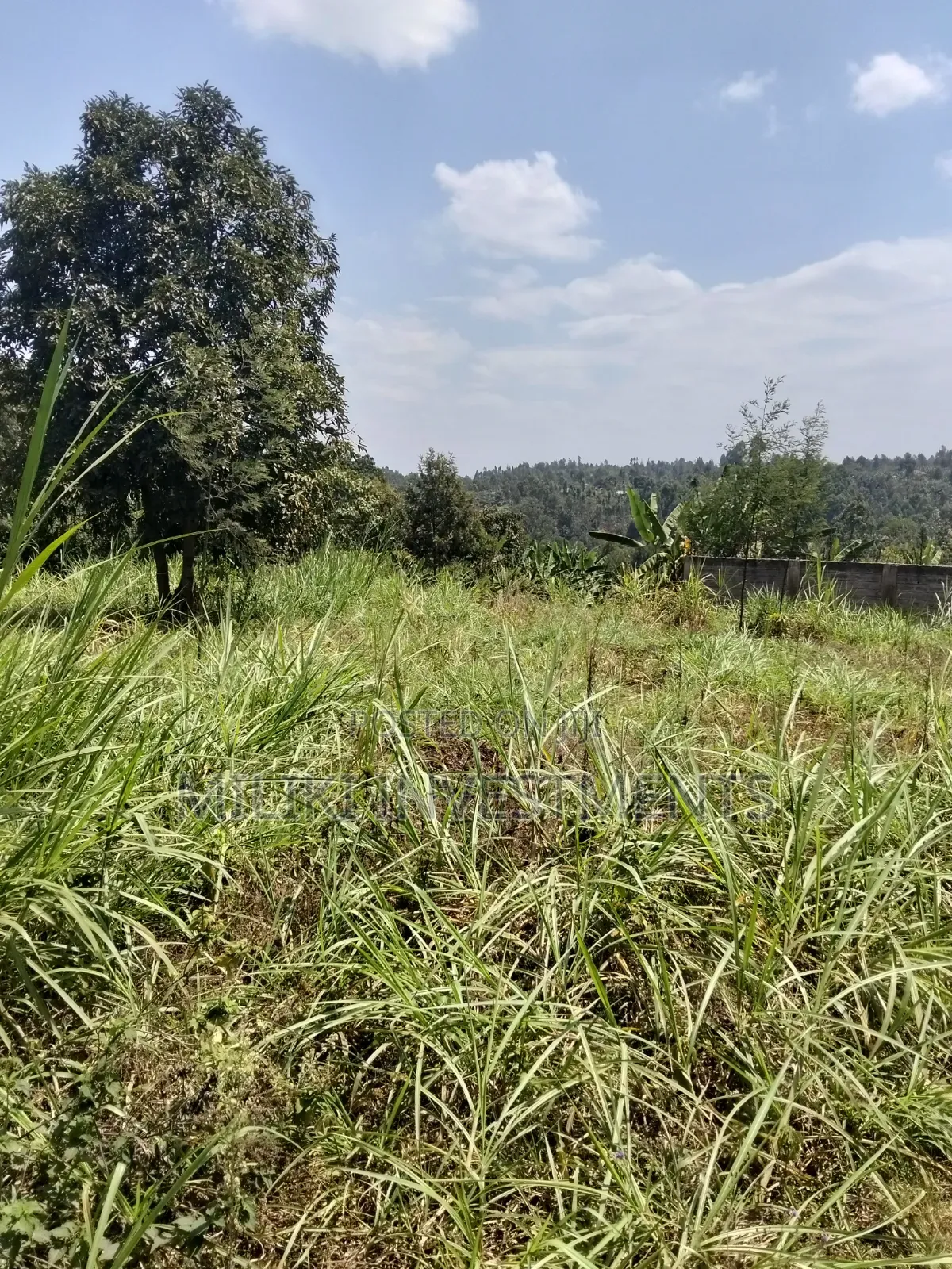 1/4 an Acre on Sale at Kiamwangi -Gatundu South