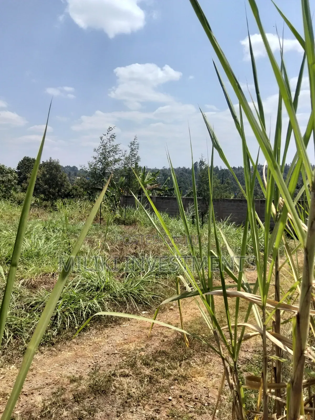 1/4 an Acre on Sale at Kiamwangi -Gatundu South