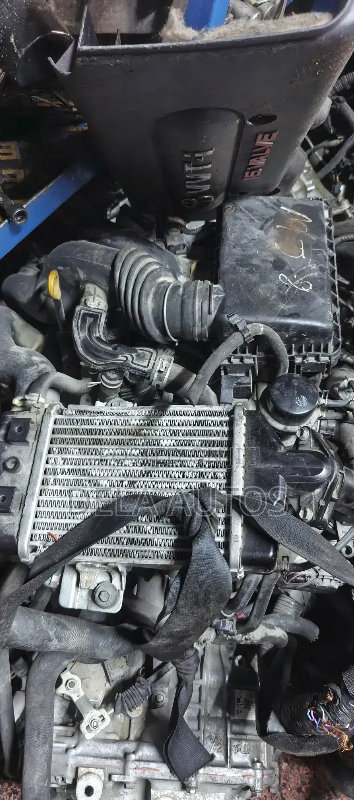 1kr-Vet :Tank, Thor, Roomy, Justy, Rocky, Raize Turbo Engine
