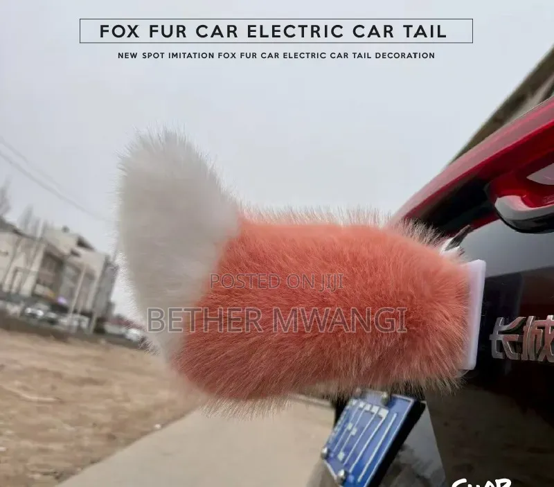Fox Fur Electric Car Trail in Kenya