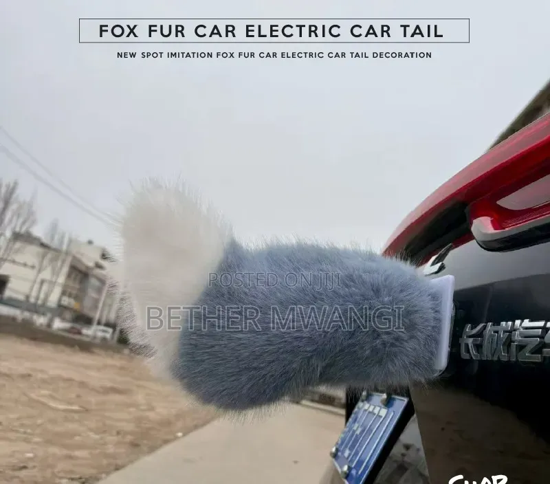 Fox Fur Electric Car Trail in Kenya