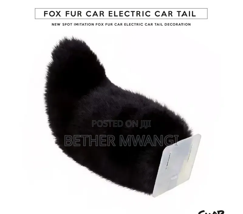 Fox Fur Electric Car Trail in Kenya