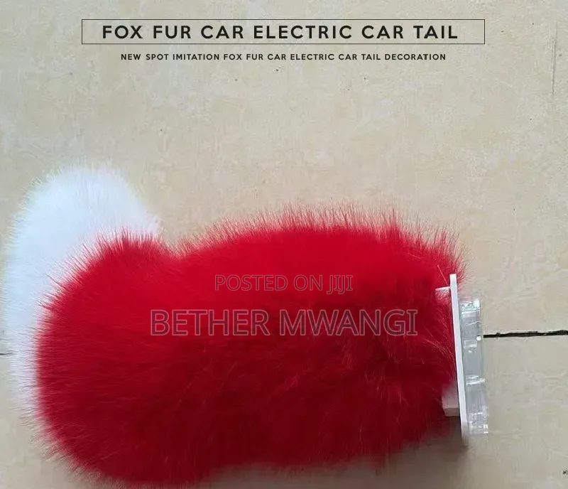 Fox Fur Electric Car Trail in Kenya