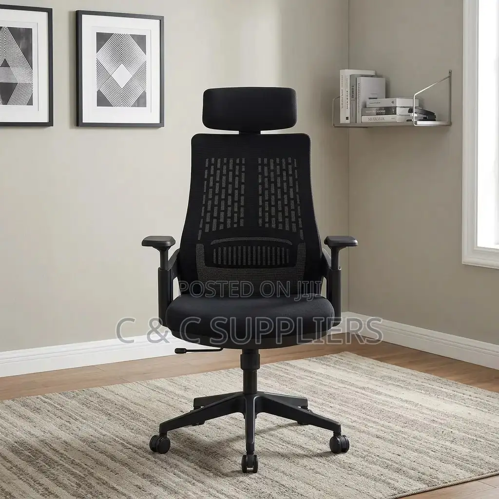 Ergonomic Mesh Lama Study Chair