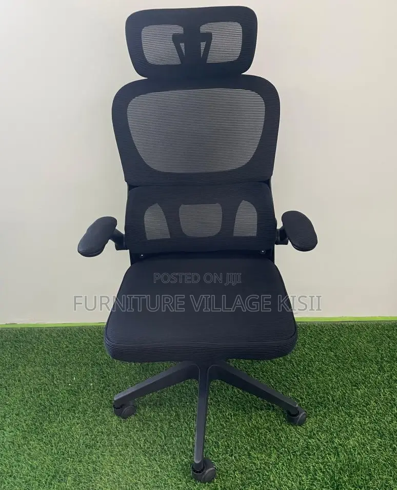 Office Chair: Orthopedic Office Chair