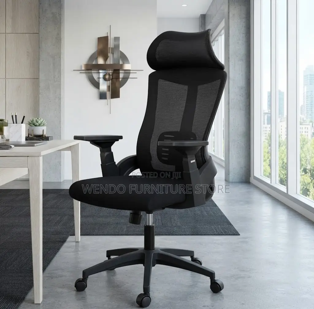Office Chairs; Executive Ergonomic Office Works Chair