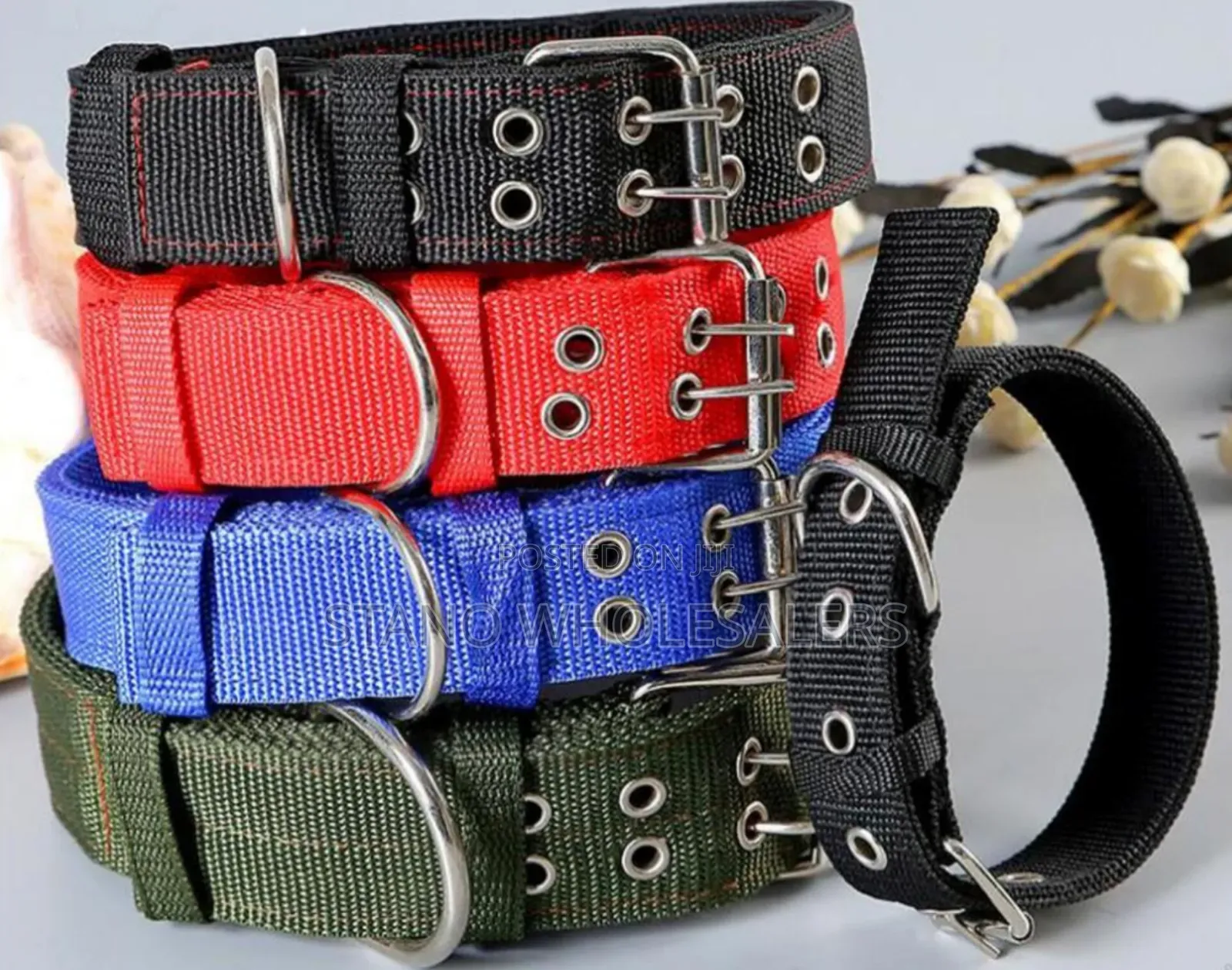 Dog Collars