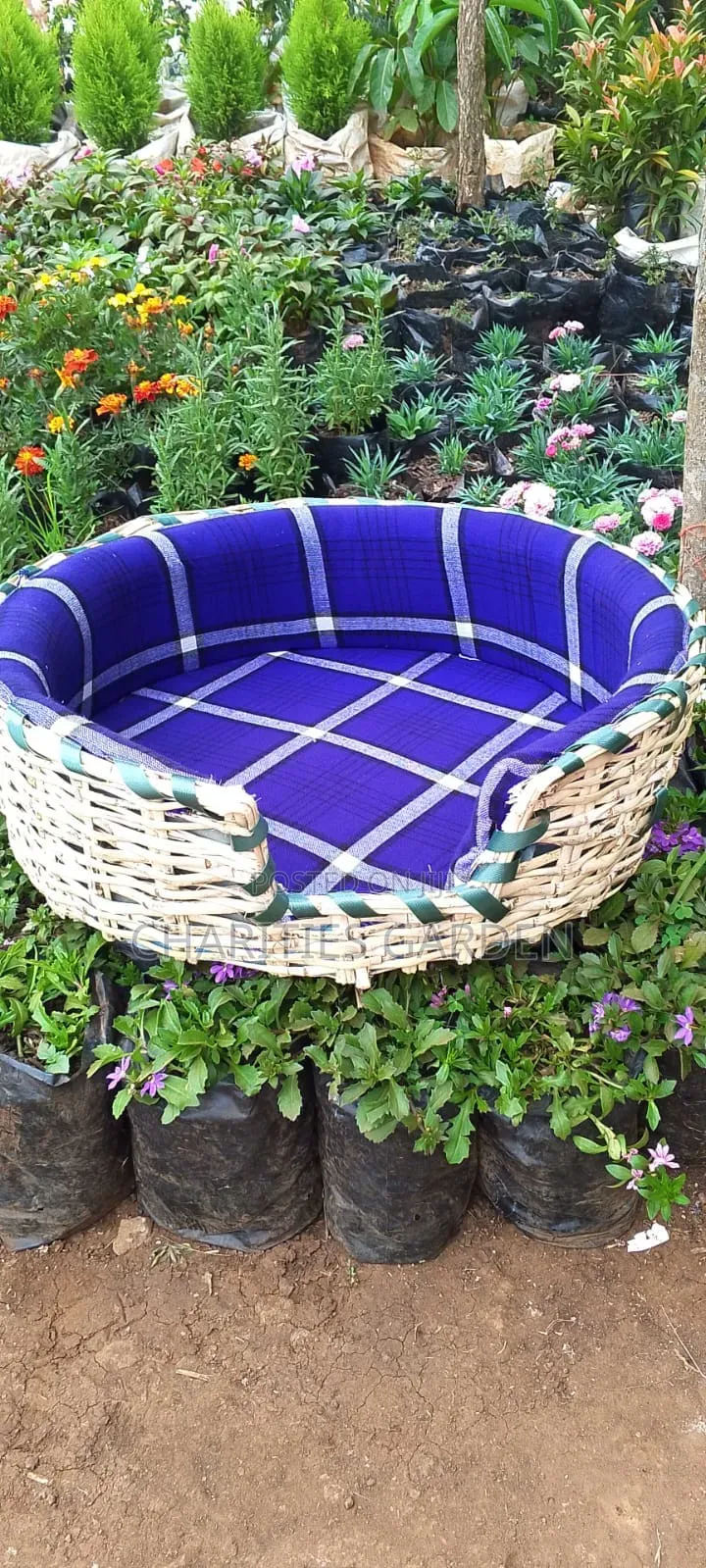 Dog and Cat Beds