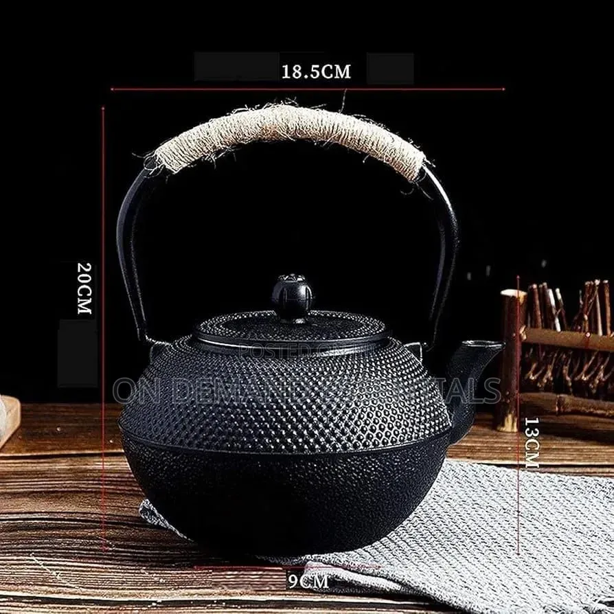 *Japanese Style Cast Iron Teapot With Infuser