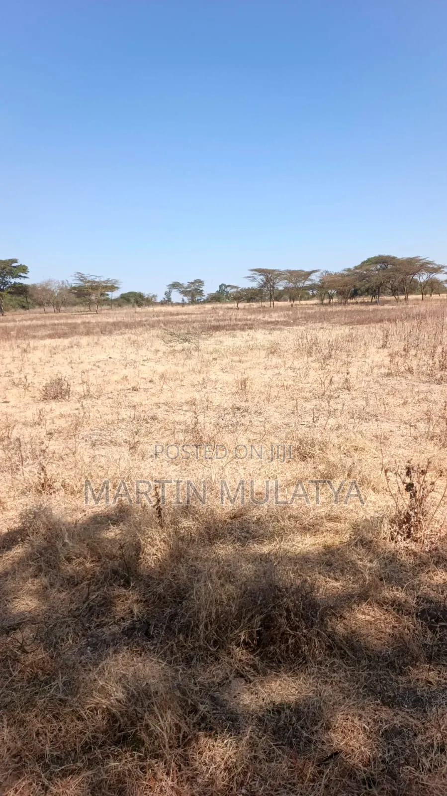 Land for Sell
