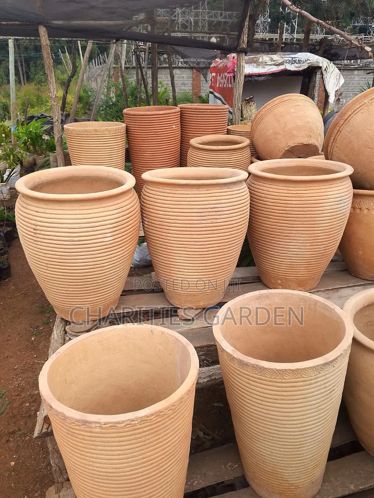 CLAY Pots/Planters