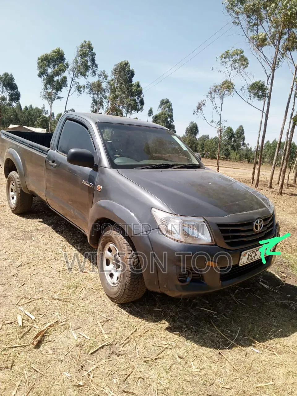 Toyota Hilux 2013 Gray