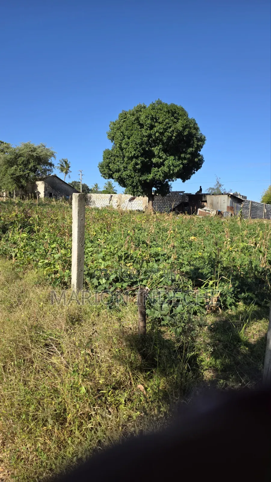 Prime 2.5acres for Sale in Kilifi Tezo Along the Highway