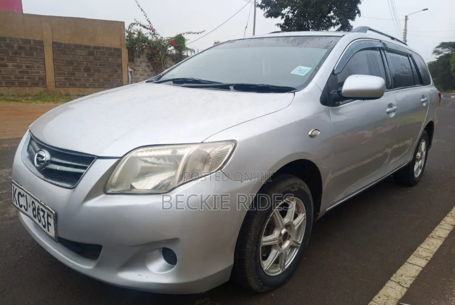 Toyota Corolla Fielder 2009 Silver