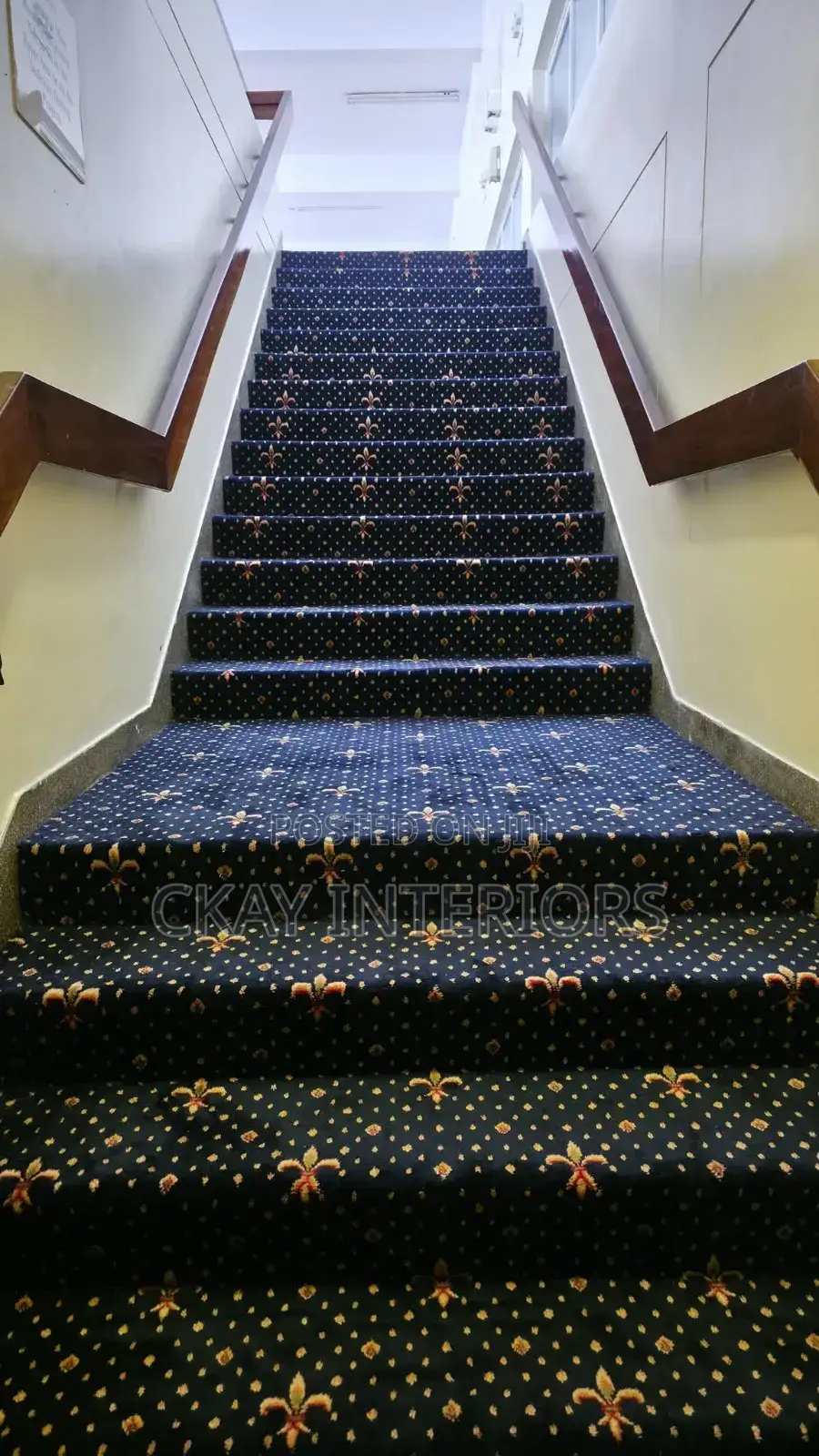 Enjoy Cozy Evenings at Home With Presidential Wall to Wall Carpets