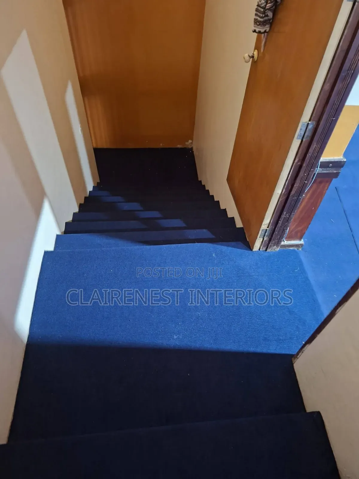 Make Your Interior Stand Out Today With Blue Delta Wall to Wall Carpet