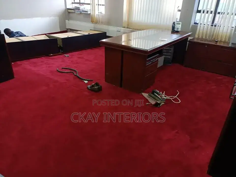 Make Your Room Feel Brand New With Red and Blue Vip Wall to Carpets
