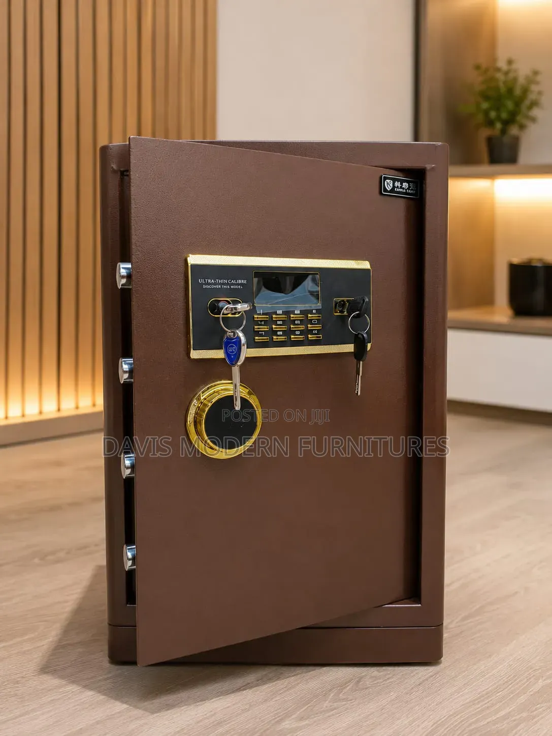 Electronic Digital Safe and Key