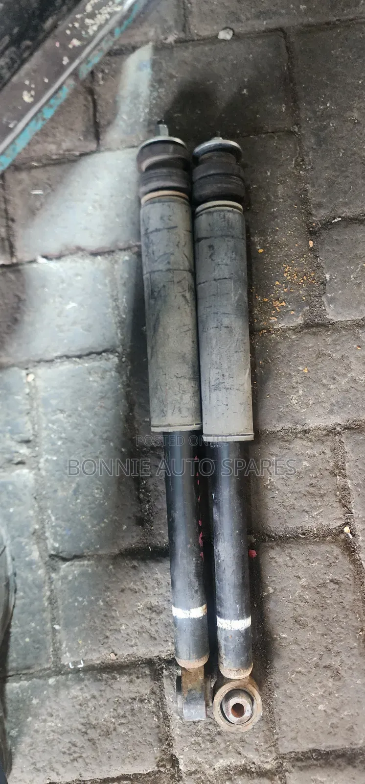 Suzuki Alto Rear Shock Absorber