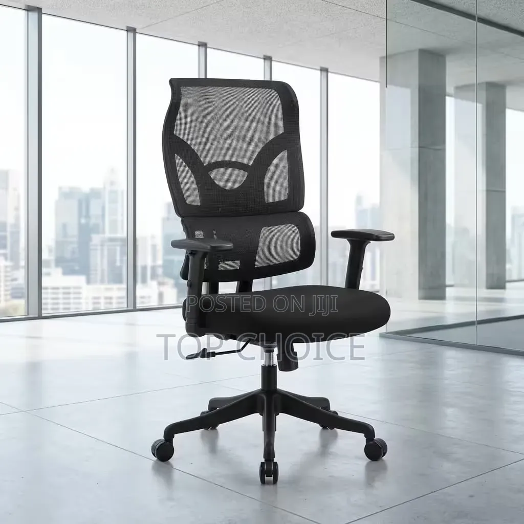 New Ergonomic Office Chair.